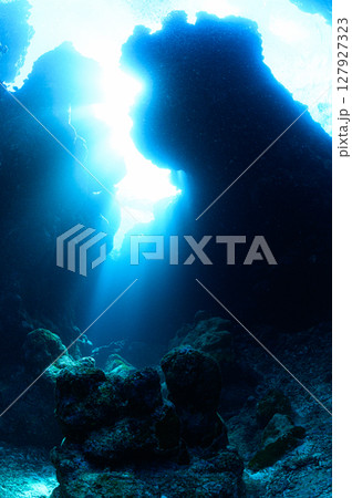 西表島の海　ダイビングの風景 127927323