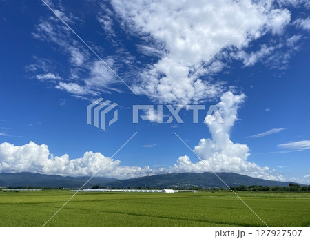 福島里山の田園風景と夏空に浮かぶ雲(横長) 福島里山の田園風景と夏空に浮かぶ雲(横長) 127927507