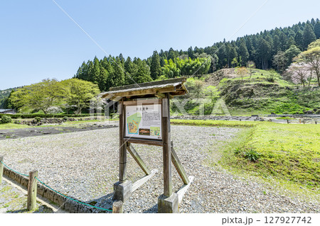 福井県福井市　快晴の一乗谷朝倉氏遺跡 127927742