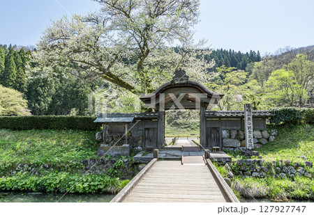 福井県福井市　快晴の一乗谷朝倉氏遺跡の唐門 127927747