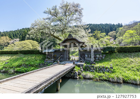 福井県福井市　快晴の一乗谷朝倉氏遺跡の唐門 127927753