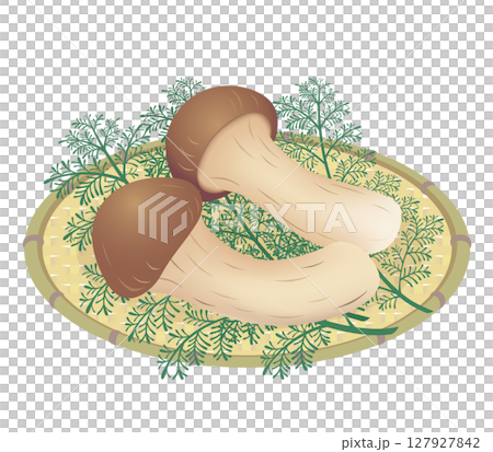 Matsutake mushrooms Matsutake mushrooms 127927842