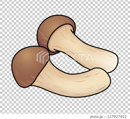 Matsutake icon 127927852