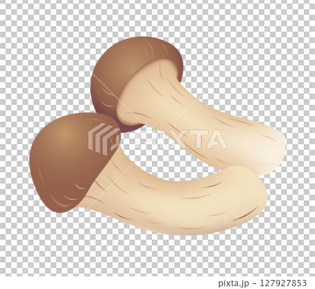 松茸圖標 松茸圖標 127927853