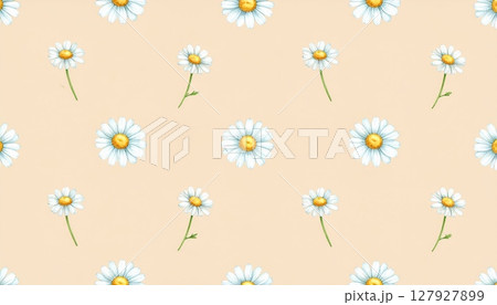 Seamless floral pattern with yellow chamomile and daisy flowers, perfect for spring and summer nature designs 127927899