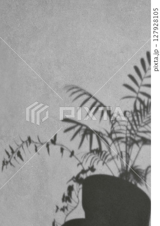 Minimal Natural Light and Shadow Composition for Lifestyle and Background Use. Minimal Natural Light and Shadow Composition for Lifestyle and Background Use. 127928105