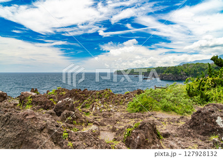 城ヶ崎海岸 127928132