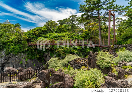 城ヶ崎海岸の吊り橋 127928138