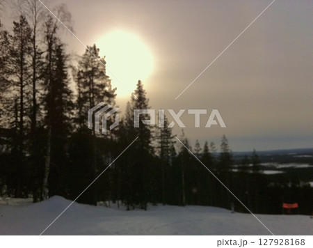 針葉樹林とレヴィの日の入り 127928168