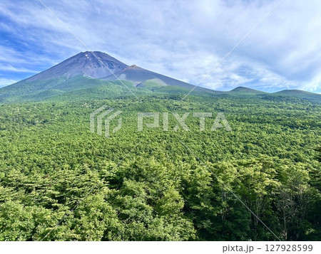 夏を迎える富士山 127928599