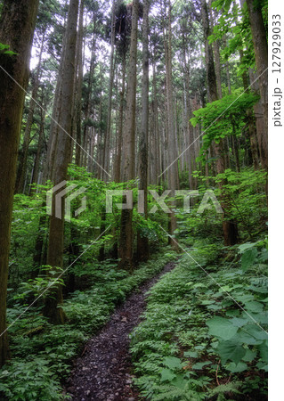 新緑の奥久慈男体山 登山風景 新緑の奥久慈男体山 登山風景 127929033