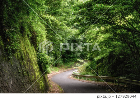 新緑の奥久慈男体山 登山風景 新緑の奥久慈男体山 登山風景 127929044
