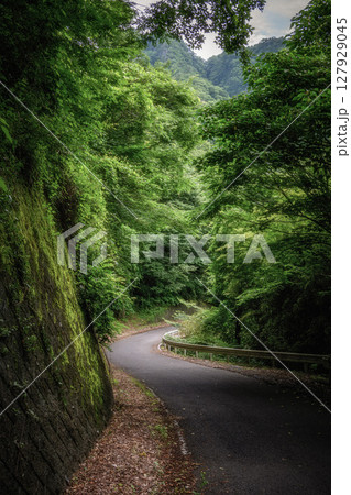 新緑の奥久慈男体山 登山風景 新緑の奥久慈男体山 登山風景 127929045