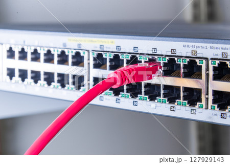 red network cable connected to witch red network cable connected to witch 127929143