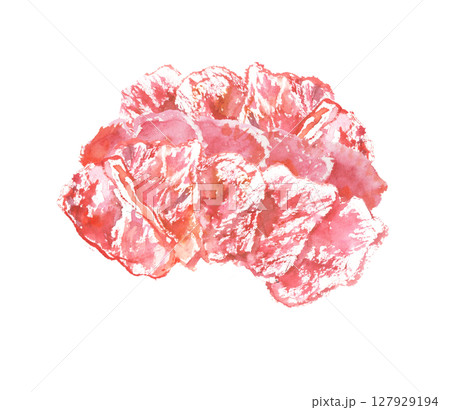 馬刺しの水彩イラスト 馬刺しの水彩イラスト 127929194