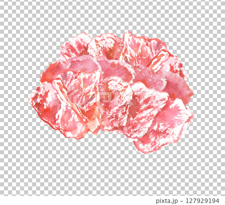 Horse meat watercolor illustration 127929194