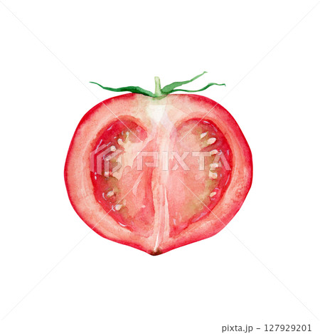 トマト 赤 野菜 断面 水彩 イラストのイラスト素材 [127929201] - PIXTA
