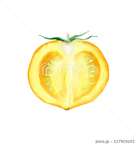 トマト 黄色　野菜 断面　水彩 イラスト 127929203