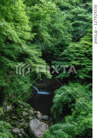新緑の汐見滝吊り橋 127929330