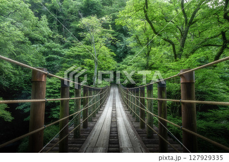 新緑の汐見滝吊り橋 127929335