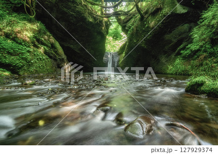 新緑の吉野平の不動滝 127929374