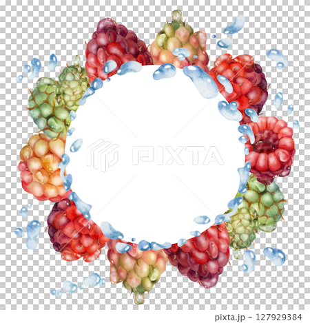 Raspberry berries wreath flying with water splash, dew drops hand drawn in watercolor. Ripe garden dewberry cloudberry mulberry tayberry. Isolated circle frame. Fresh grocery, home preserves cookbook 127929384