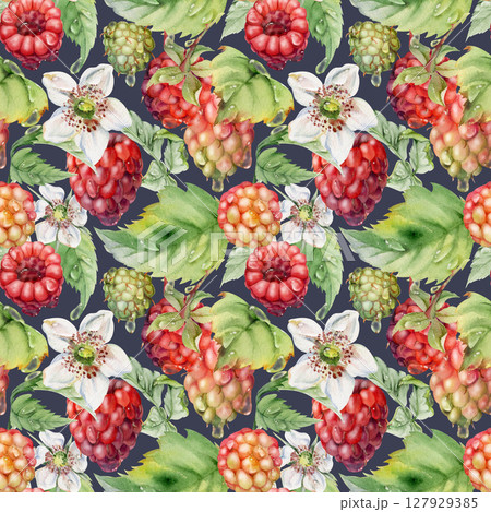 Raspberry cloudberry mulberry ripe garden berries, flowers in water dew drops hand drawn in watercolor. Seamless pattern isolated on dark. Home preserves, textile linens, food store decor, packaging 127929385