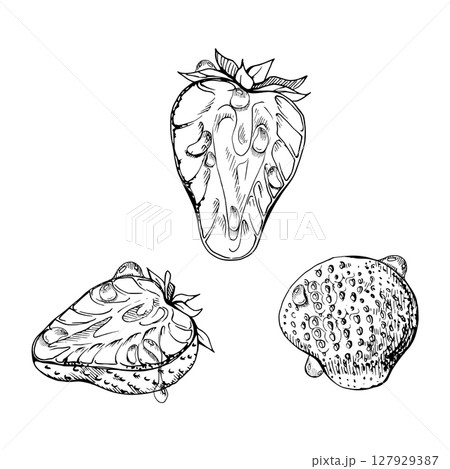 Strawberry ripe fruit with leaves crown on stalk in water dew drops, full and cut in half hand drawn in vector ink, garden berry strasberry. Botanical isolated illustration. Home preserves, grocery Strawberry ripe fruit with leaves crown on stalk in water dew drops, full and cut in half hand drawn in vector ink, garden berry strasberry. Botanical isolated illustration. Home preserves, grocery 127929387