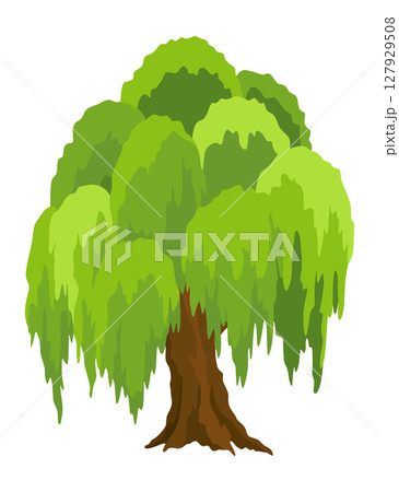 Kind of tree icon, willow. Deciduous plant. Green crowns and lush foliage with natural brown trunks and branches. Vector cartoon illustration Kind of tree icon, willow. Deciduous plant. Green crowns and lush foliage with natural brown trunks and branches. Vector cartoon illustration 127929508