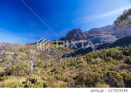 Lake Rodway Track in Tasmania Australia 127929546