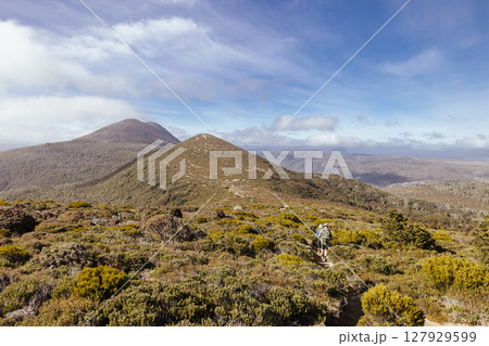 Lake Rodway Track in Tasmania Australia 127929599