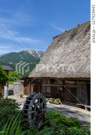 白川郷の合掌造りと水車、花々と雪山が彩る初夏の風景 127929945