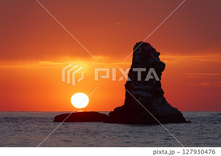 二見ヶ浦 127930476