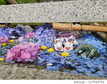 竹駒神社 夏詣の花手水 竹駒神社 夏詣の花手水 127930759