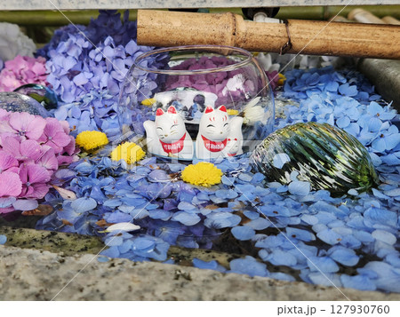 竹駒神社 花手水の綺麗な紫陽花 竹駒神社 花手水の綺麗な紫陽花 127930760