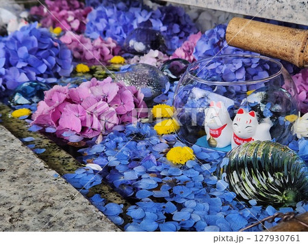 竹駒神社　かわいい花手水 127930761