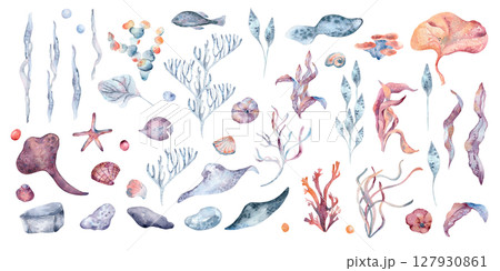 Watercolor marine clipart set with stingray, seashells, seaweed, coral, rocks, and bubbles isolated. Hand painted ocean life elements in soft dusty pinks blues. Underwater botanical illustrations. Watercolor marine clipart set with stingray, seashells, seaweed, coral, rocks, and bubbles isolated. Hand painted ocean life elements in soft dusty pinks blues. Underwater botanical illustrations. 127930861