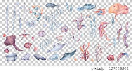Watercolor marine clipart set with stingray, seashells, seaweed, coral, rocks, and bubbles isolated. Hand painted ocean life elements in soft dusty pinks blues. Underwater botanical illustrations. Watercolor marine clipart set with stingray, seashells, seaweed, coral, rocks, and bubbles isolated. Hand painted ocean life elements in soft dusty pinks blues. Underwater botanical illustrations. 127930861