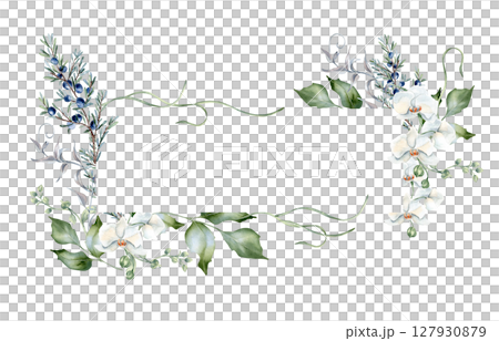 Watercolor frame with white orchid flowers and winter greenery isolated. Juniper sprigs, holly leaves, and blooms hand painted botanical banner for festive stationery and cold season branding. 127930879