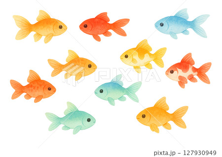 夏の金魚セット カラフルで可愛いイラスト素材 夏の金魚セット カラフルで可愛いイラスト素材 127930949