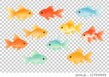 夏の金魚セット カラフルで可愛いイラスト素材 夏の金魚セット カラフルで可愛いイラスト素材 127930949