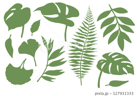 Set of green tropical forest leaves. Vector illustration. Tropical leaves silhouettes	 127931333