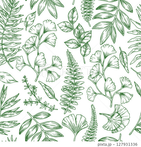Seamless pattern of tropical green forest leaves. Vector illustration in sketch style. ginkgo, fern 127931336