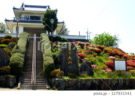 佐賀県 白石町の景勝スポット「肥前犬山城展望所」 佐賀県 白石町の景勝スポット「肥前犬山城展望所」 127931541