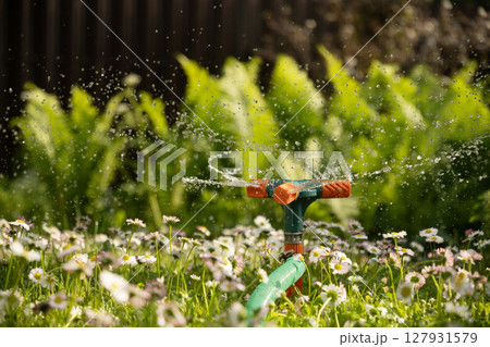 Watering garden with hose at heat summer. Close up. Watering garden with hose at heat summer. Close up. 127931579