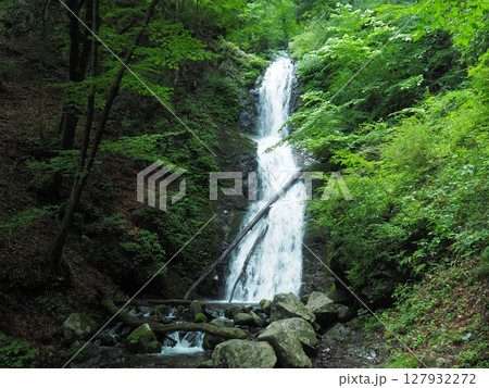 夏の日光・寂光の滝 127932272