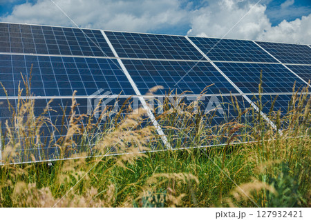 Overgrown grass surrounds solar panels in a countryside setting Overgrown grass surrounds solar panels in a countryside setting 127932421