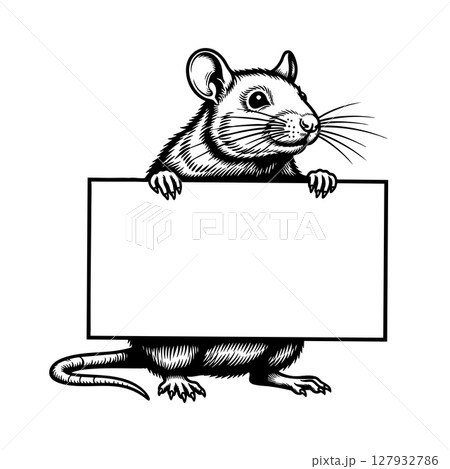 Vector of black and white illustration of a rat holding a blank rectangular sign. 127932786