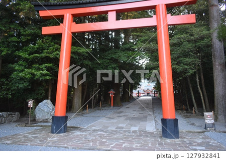 鹿児島　霧島神社　神社 127932841