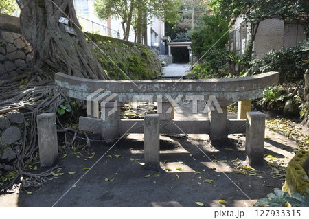 黒神埋没鳥居 鹿児島 桜島 鳥居 黒神埋没鳥居 鹿児島 桜島 鳥居 127933315